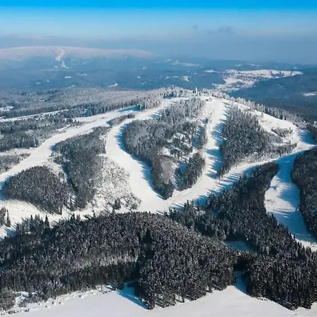 Zelene Dvere